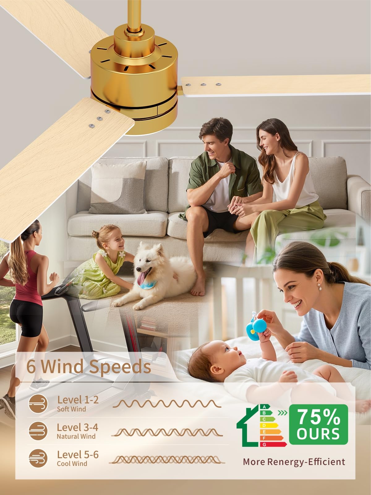LANMEL six-speed fan offers versatile airflow options.