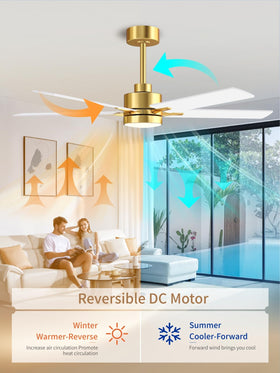 LANMEL six-speed ceiling fan for tailored airflow