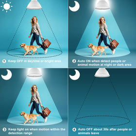 Lanyue waterproof bulb for indoor and outdoor use in any weather.
