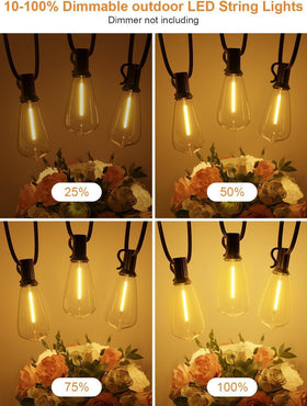 LaPitio durable lights resist rain, sun, and humidity for year-round use