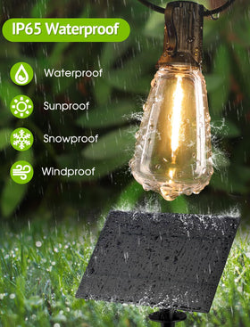Larkvue IP65 bulbs withstand weather for year round use