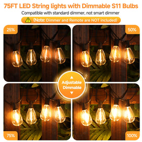 Larkvue S11 bulbs 2700K amber glow for vintage outdoor vibe