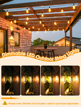Larkvue ST38 clear bulbs deliver a low-energy 2700K warm glow.