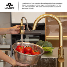 Lava Odoro champagne gold faucet with deck plate included simplifies 1- or 3-hole installation