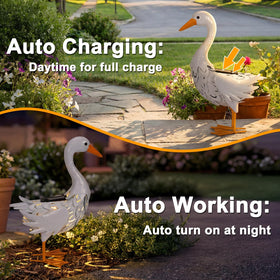 Lavezee outdoor goose statue adds charm to pathways and lawns.