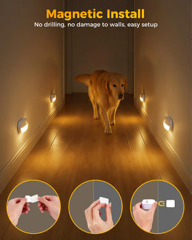Lazukes motion sensor lights with PIR and dusk sensor for reliable detection.