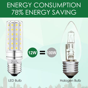 LDSZM LED bulb with E26 base installation in standard fixture