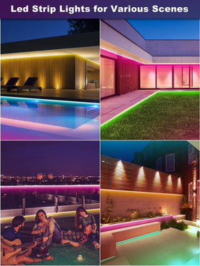 Ledagic 24V low-voltage power adapter delivering safe, vibrant lighting.