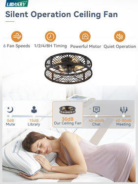 LEDIARY caged ceiling fan close-up motor, whisper-quiet performance.