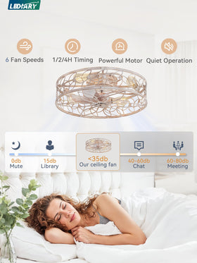 LEDIARY caged ceiling fan harmonizes rustic charm with modern decor.