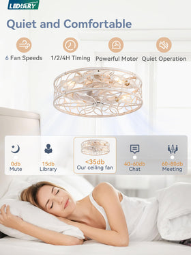 LEDIARY remote control and app operation for easy fan and light control