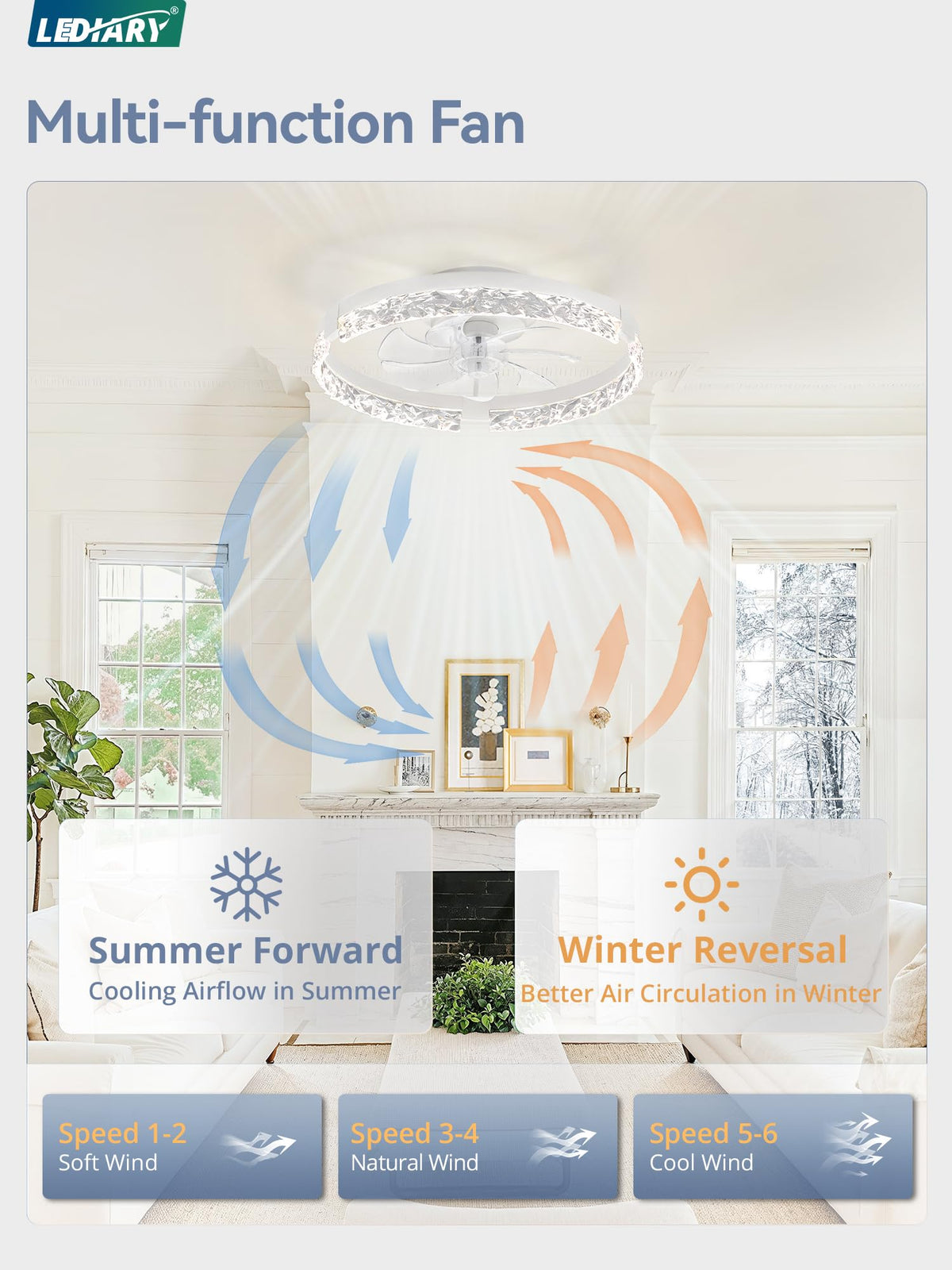LEDIARY LED dimming control for adjustable brightness and mood lighting.