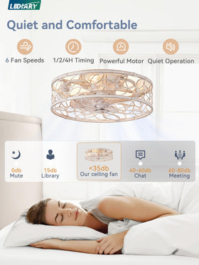 LEDIARY low-profile ceiling fan with remote and app control for convenient use.