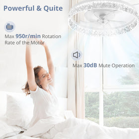 LEDIARY remote and app control for easy speed and light adjustments.