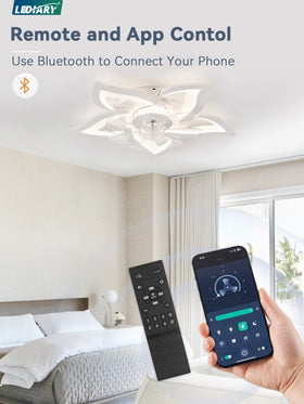 LEDIARY remote and app control interface for convenient operation