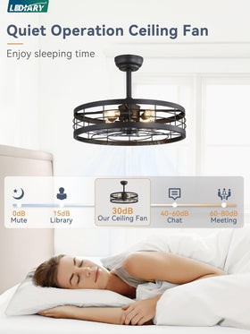 LEDIARY remote-control ceiling fan with light offers adjustable speed and timing for convenience.