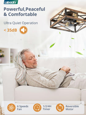 LEDIARY remote-control operation enables silent, convenient fan and light control