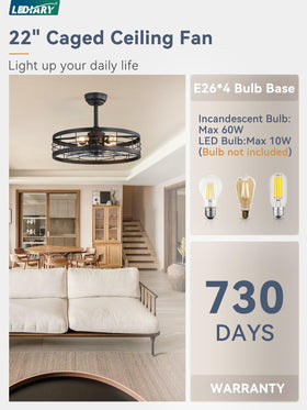 LEDIARY reversible direction ceiling fan supports year-round comfort and energy efficiency.