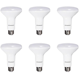LEDVANCE Sylvania BR30 bulb in a ceiling fixture providing bright daylight illumination for living spaces.