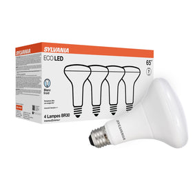 LEDVANCE Sylvania BR30 frosted bulb in ceiling can, 650 lumens for bright, energy-efficient lighting