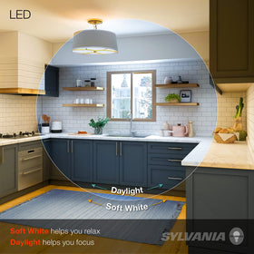 LEDVANCE Sylvania daylight bulb not for enclosed fixtures