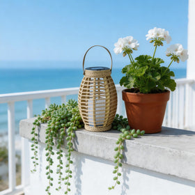 LEOKED olive-shaped lantern with handle, perfect for hanging garden décor.