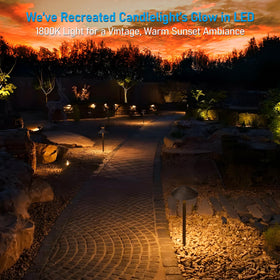 LEONLITE 1800K warm glow ideal for cozy nighttime ambiance.