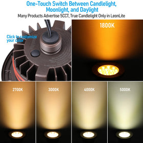 LEONLITE Dia. 4-Inch well light with oil rubbed bronze finish for stylish outdoor ambiance.
