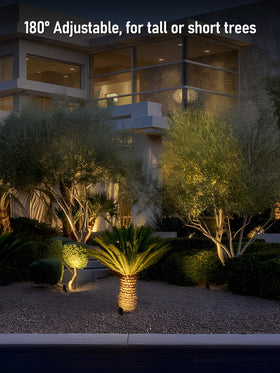 LEONLITE IP65-rated spotlight for reliable wet-location lighting