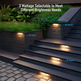 LEONLITE paver light 12-24V AC/DC for low-voltage landscape accents.