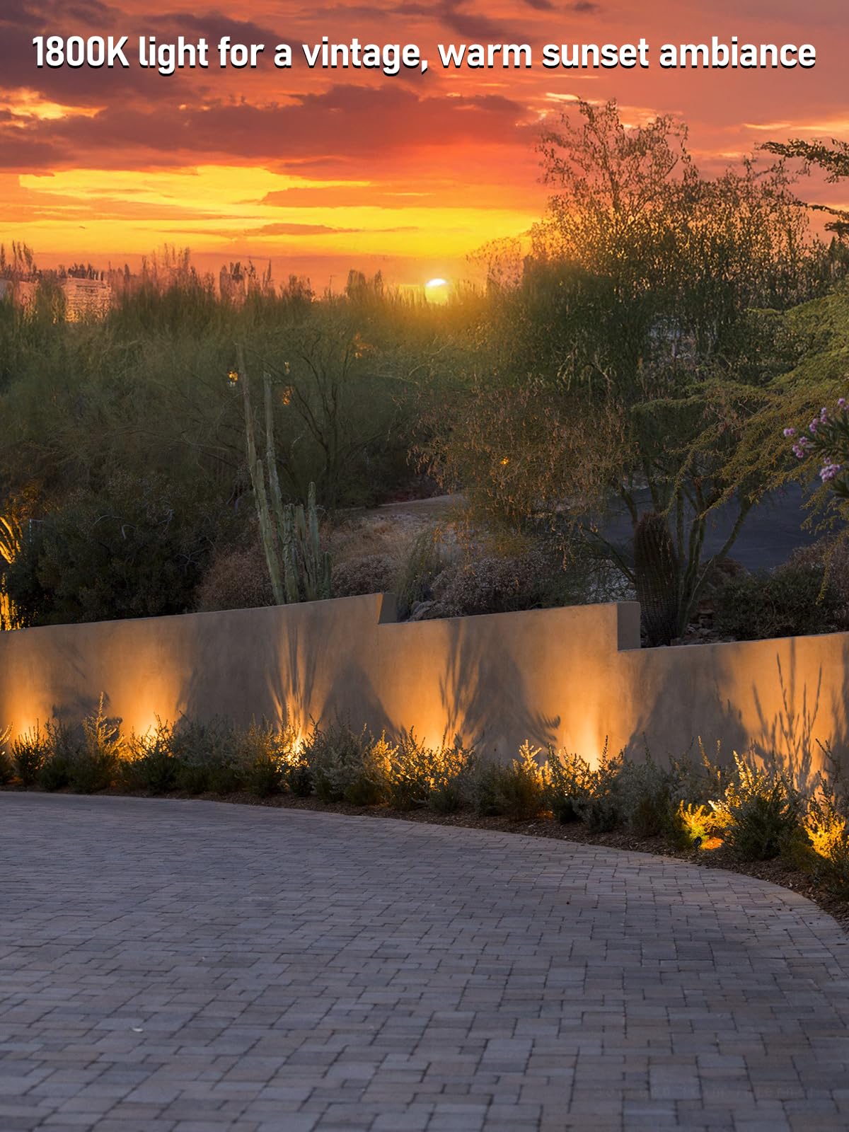 LEONLITE 45deg beam focuses landscape features with clear, targeted glow.