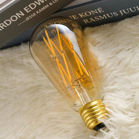 Leools retro-style bulb enhances cafe and living spaces