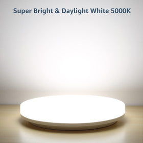 Lepro 5000K daylight white provides crisp color accuracy