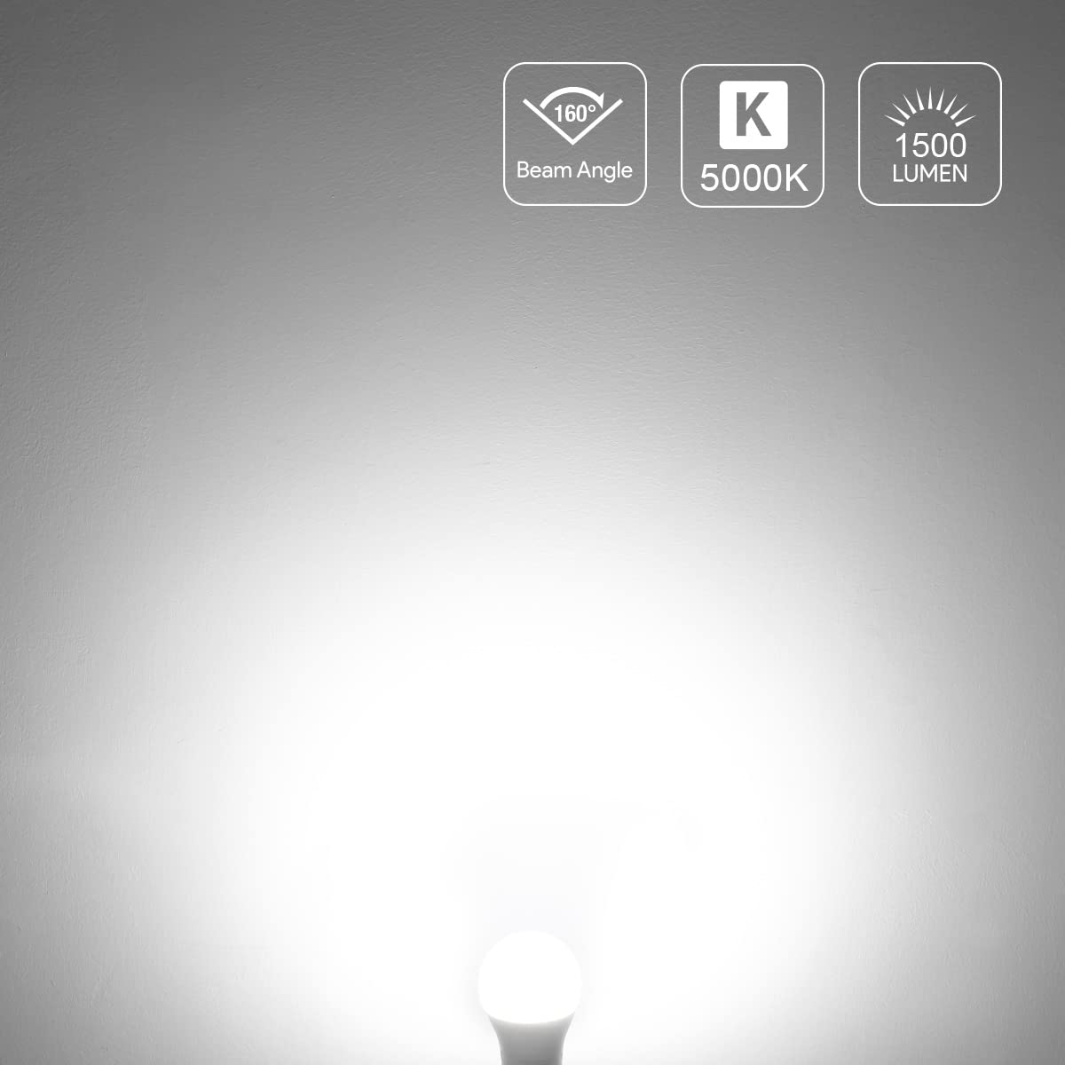 Lepro six-pack non-dimmable A19 bulbs for simple setups.