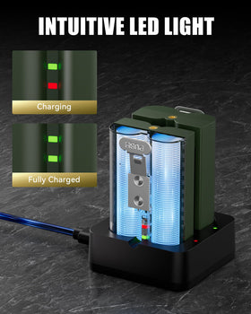 Lesaps LED indicators show charging status at a glance.