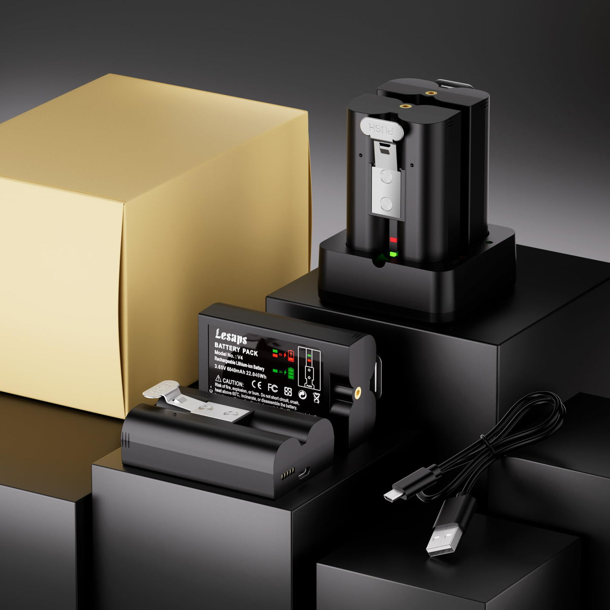 Lesaps 12-month warranty and responsive 24/7 support are included.