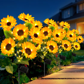 LETMY solar flowers 6-heads package showcases vibrant garden lighting for outdoor decor and curb appeal.