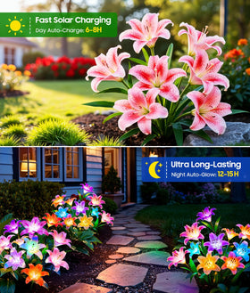 LETMY six-head light-pink lily blooms add a gentle yard glow.