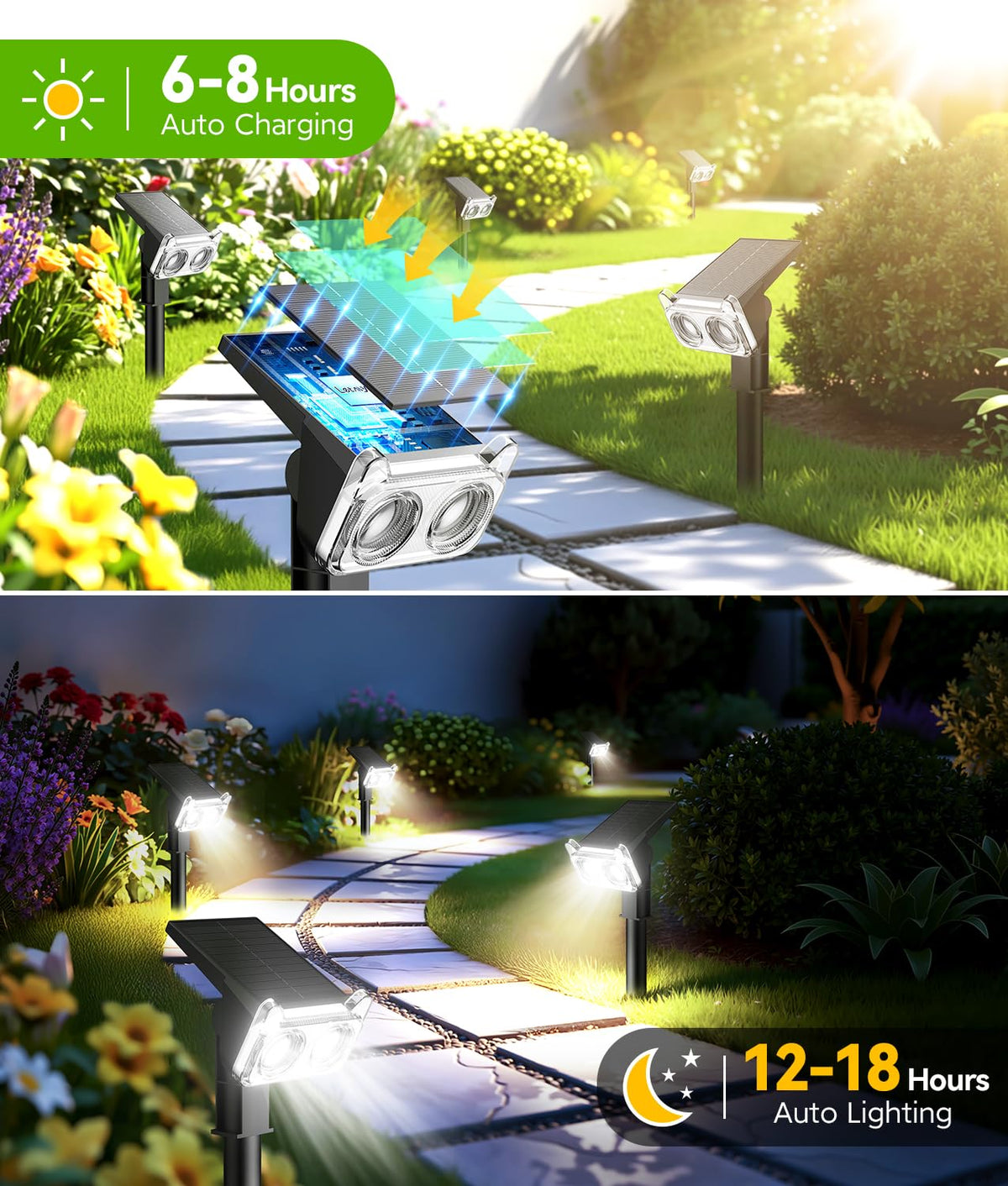 LETMY IP65 waterproof solar light withstands rain for year-round use