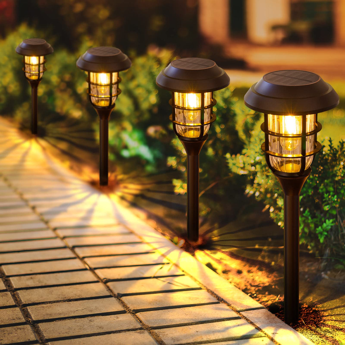 LETMY solar pathway light 8 pack brightens outdoor walkways and borders.