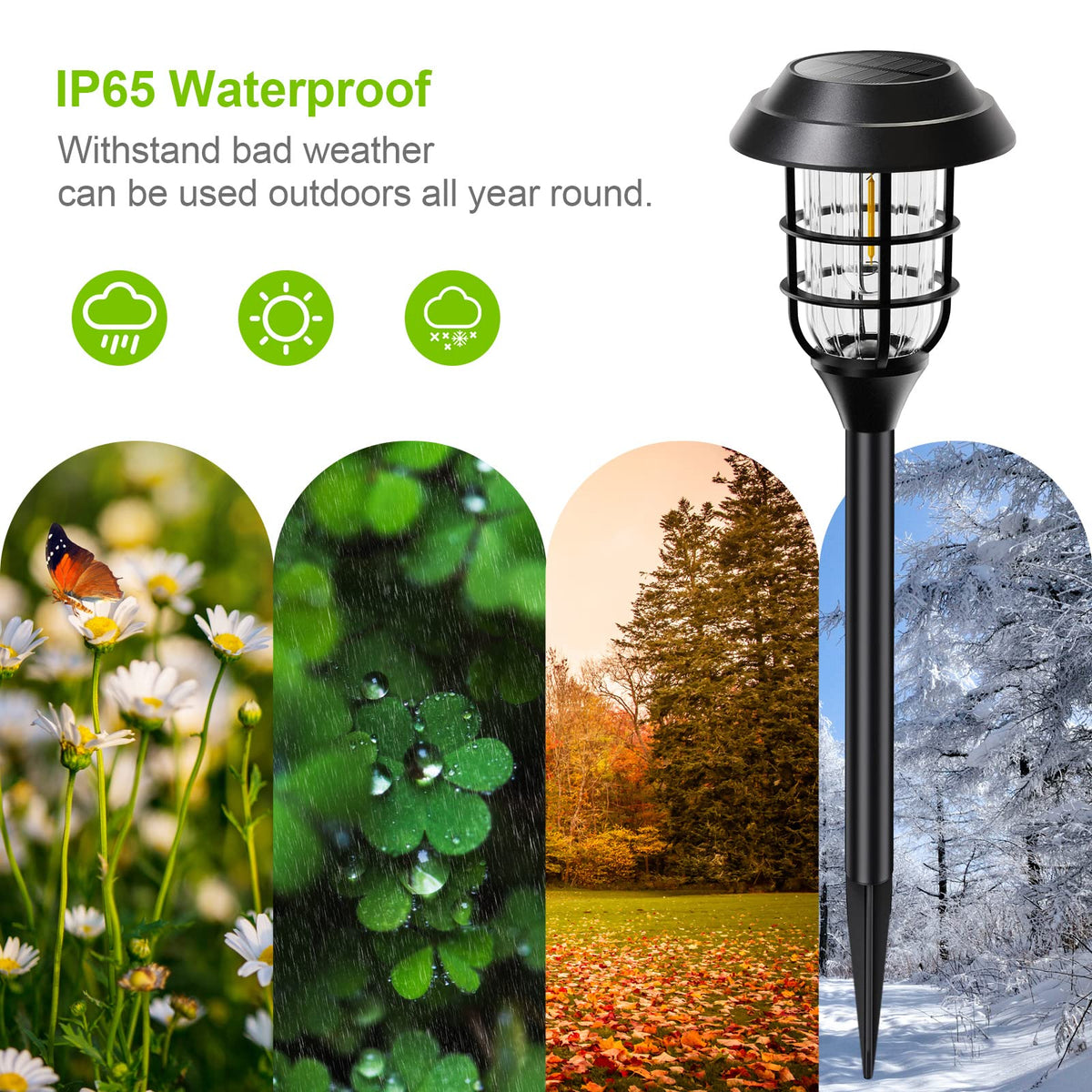 LETMY solar lights suit garden, yard, driveway, and patio.