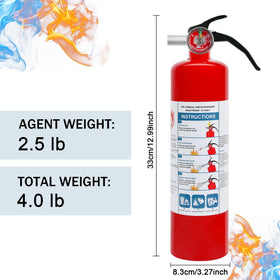 2.5 lb Leyanny extinguisher ideal for kitchens and garages.