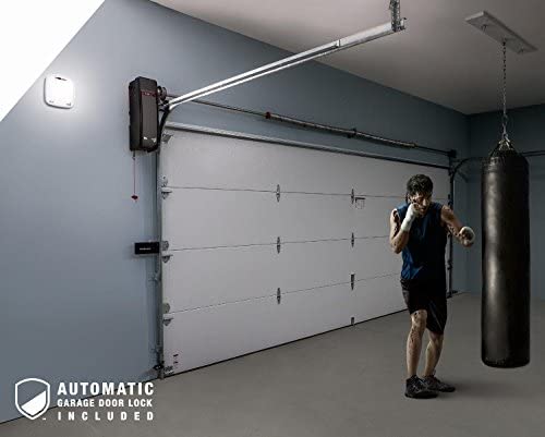 LiftMaster Premium Series 98022 P3 motor emphasizes durable, reliable performance.