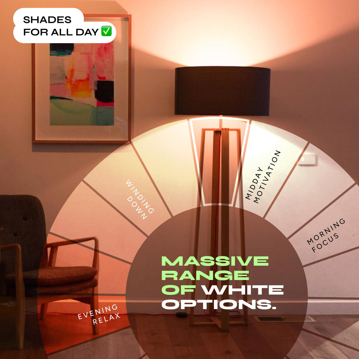 LIFX A19 2-year warranty and reliable support