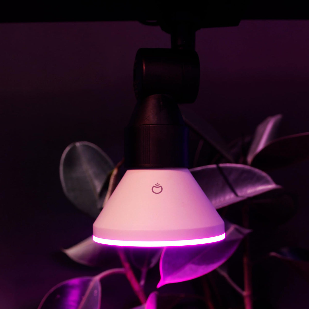 LIFX PAR38 HomeKit and Matter ready lighting with voice control.
