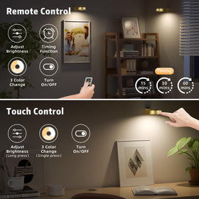Lightbiz offers 3000K, 4500K, and 6000K for versatile artwork ambience.
