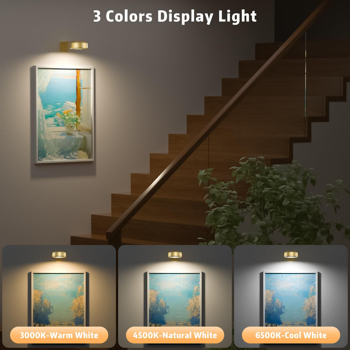Lightbiz dimmable LEDs allow precise brightness for mood and focus.
