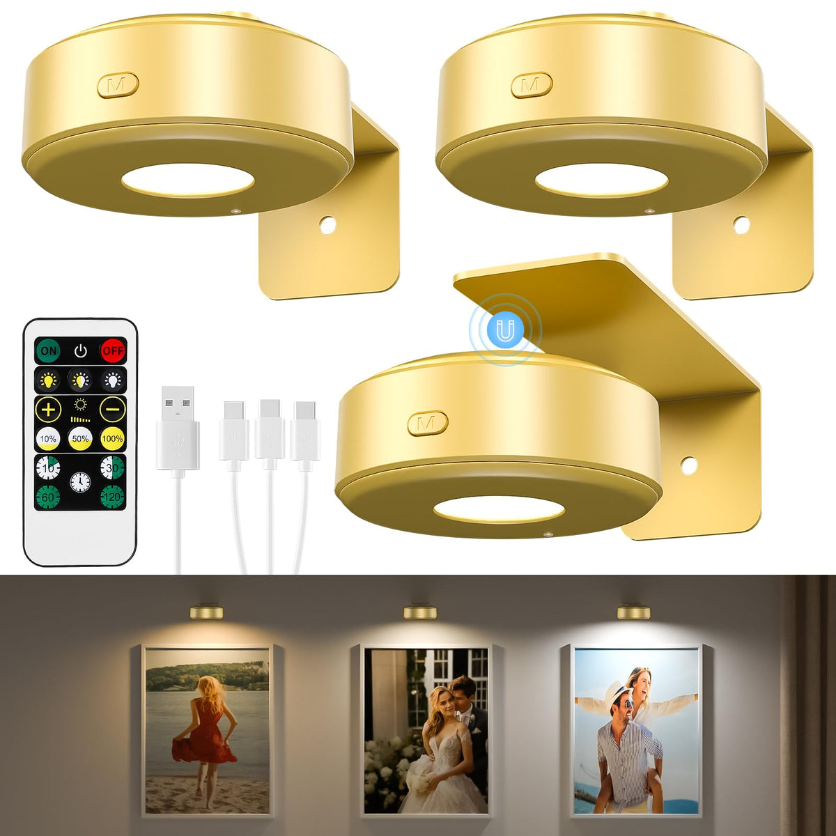Lightbiz 3Pcs Picture Lights illuminate a gold frame for vivid painting display.
