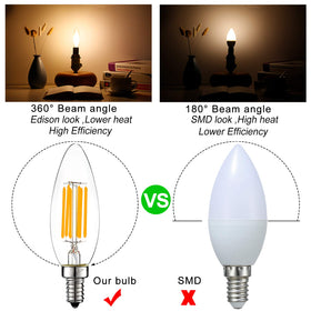 LiteHistory 2700K clear Edison bulb for warm ambience