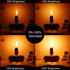LiteHistory 2W to 25W equivalent LED bulb lowers energy usage.